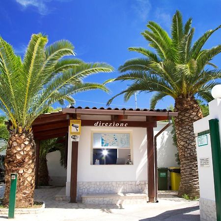 Residence La Conchiglia Vieste Ngoại thất bức ảnh