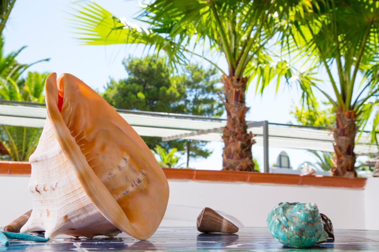 Residence La Conchiglia Vieste Ngoại thất bức ảnh